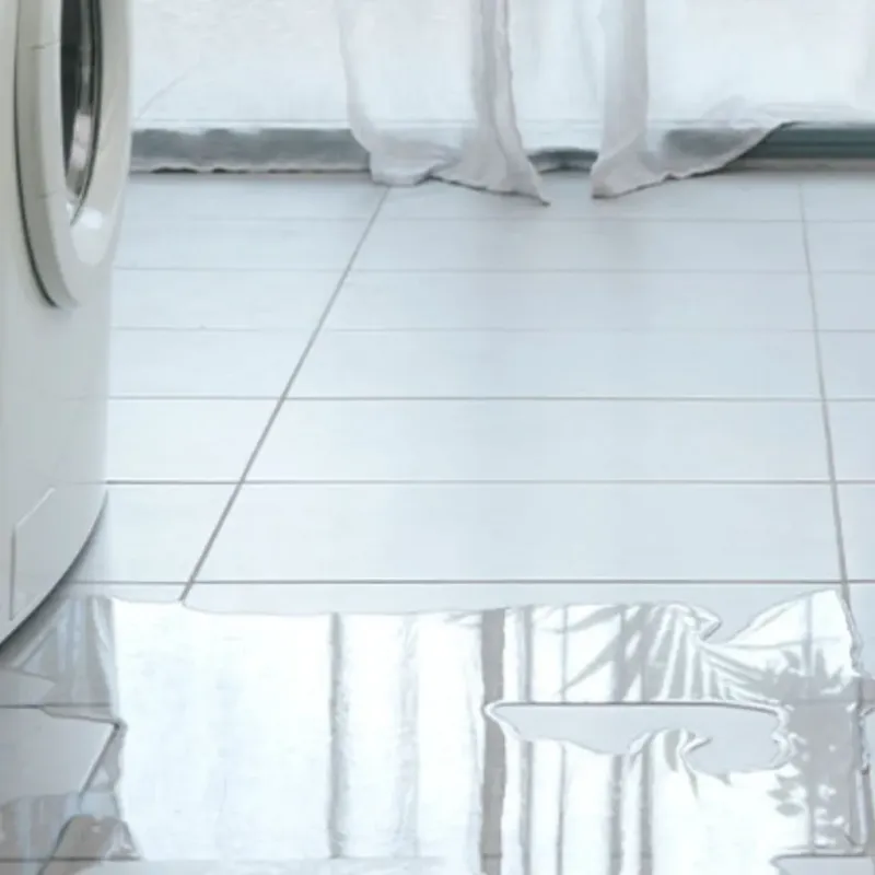 Appliance Leak Cleanup in East Lansing, MI