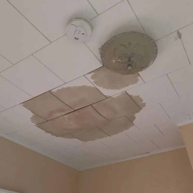 Ceiling Water Damage Repair in East Lansing, MI