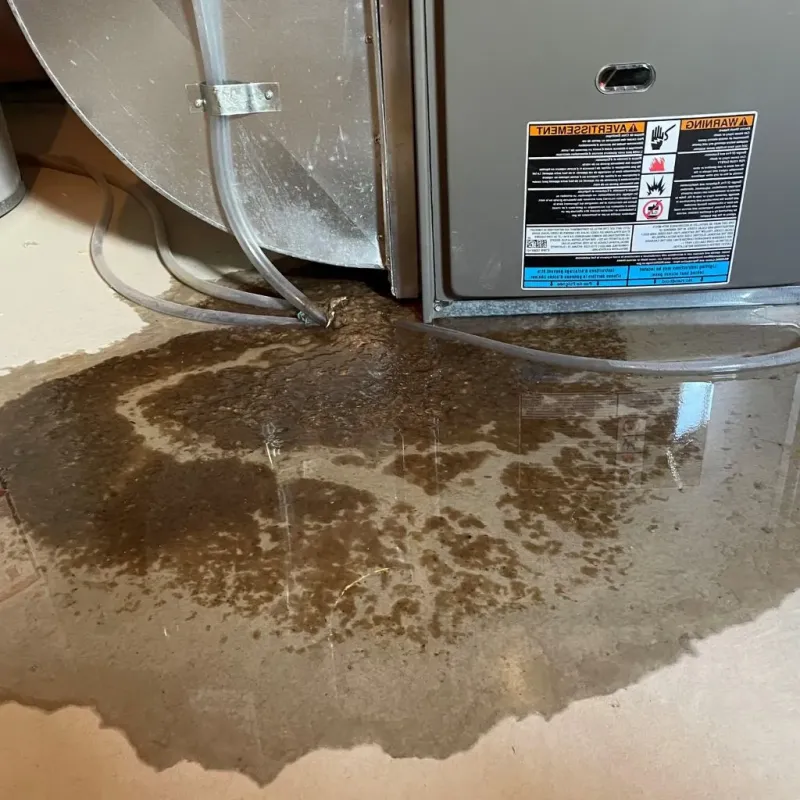 Pipe Burst and Leak Restoration in East Lansing, MI